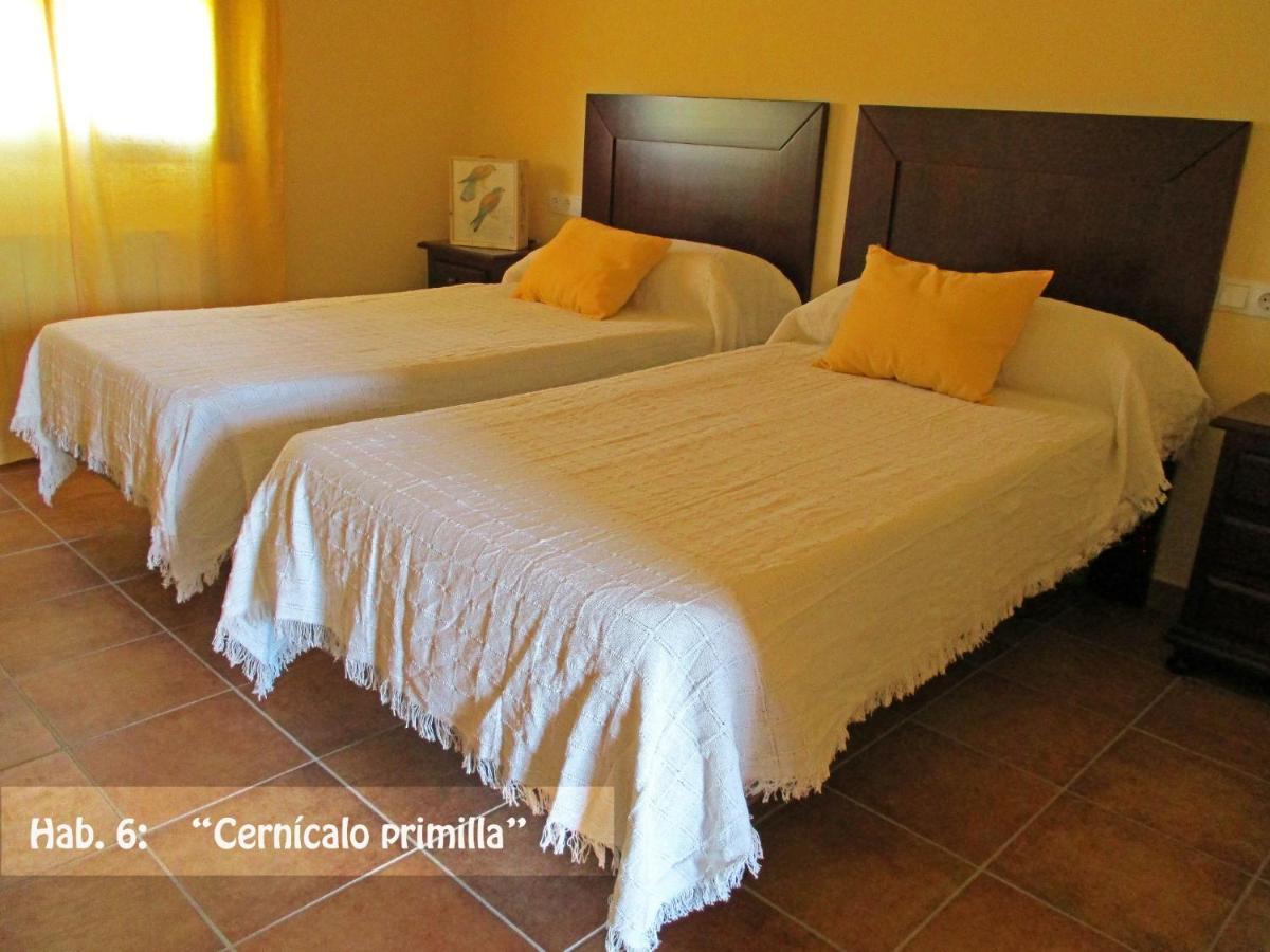 Casa Rural El Nidal Casas de Don Pedro Exteriér fotografie