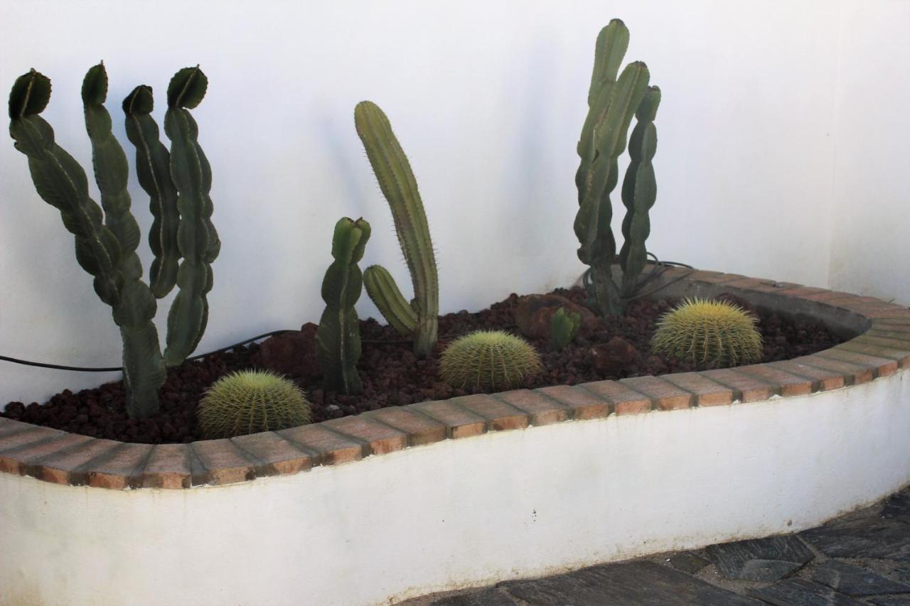 Casa Rural El Nidal Casas de Don Pedro Exteriér fotografie